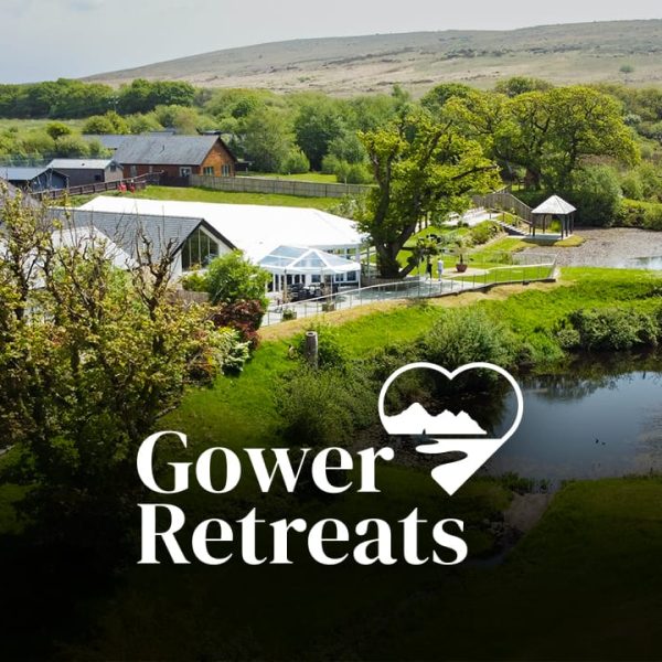 Gower retreats