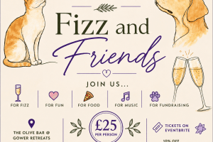 fizz and friends website