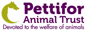 logo may 2026